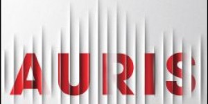 Beitragsbild des Blogbeitrags [Rezension] Vincent Kliesch / Sebastian Fitzek: Auris 