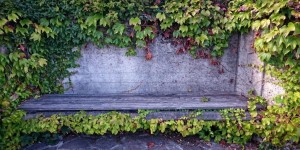 Beitragsbild des Blogbeitrags Die Parkbank