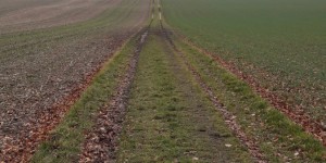 Beitragsbild des Blogbeitrags Der Weg ist das Ziel
