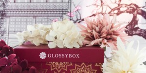 Beitragsbild des Blogbeitrags Glossybox: „The Ritual of Ayurveda“ Edition