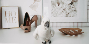 Beitragsbild des Blogbeitrags Blumenflair Inspiration im Vorzimmer mit Posterstore