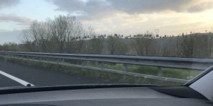 Beitragsbild des Blogbeitrags Der nächste Roadtrip kommt bestimmt