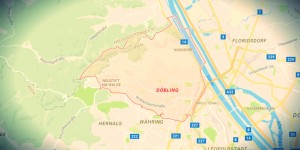 Beitragsbild des Blogbeitrags Vegan in Wien 1190 