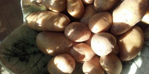 Beitragsbild des Blogbeitrags 5 gesunde Kartoffelsorten im Überblick 
