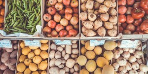 Beitragsbild des Blogbeitrags Lebensmittel richtigen lagern: so wird nichts mehr schlecht!