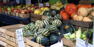 Beitragsbild des Blogbeitrags Die besten Bauernmärkte in Wien 