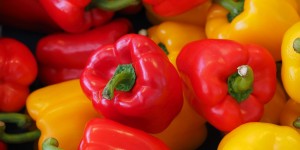 Beitragsbild des Blogbeitrags Paprika – was du schon immer wissen wolltest 