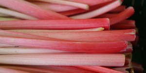 Beitragsbild des Blogbeitrags Sauer, vielseitig und so gesund – Rhabarber 