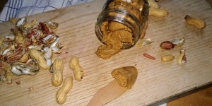Beitragsbild des Blogbeitrags Selbstgemachte leckere Erdnussbutter