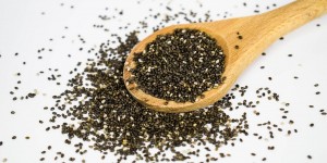 Beitragsbild des Blogbeitrags Omega 3 Fettsäuren – Mythos und Wahrheit 