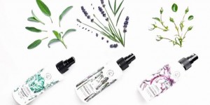 Beitragsbild des Blogbeitrags **WIN**WIN** Bio Stay Fresh Spray Deos von Hands on Veggies