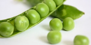 Beitragsbild des Blogbeitrags Warenkunde Erbsen