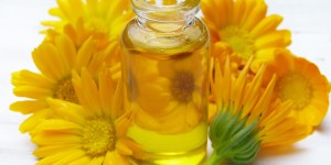 Beitragsbild des Blogbeitrags DIY Calendula Creme