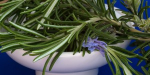 Beitragsbild des Blogbeitrags Aktivierendes Rosmarin Peeling