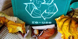 Beitragsbild des Blogbeitrags So Recycelst du richtig