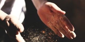 Beitragsbild des Blogbeitrags Top 5 glutenfreie Mehle