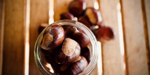 Beitragsbild des Blogbeitrags 10 Gründe wieso du jetzt Maronen essen solltest 