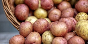Beitragsbild des Blogbeitrags Kartoffeln von A-Z 
