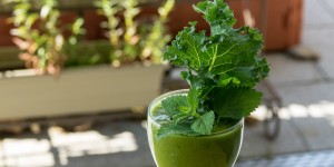 Beitragsbild des Blogbeitrags Belebender Grünkohl Smoothie