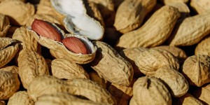 Beitragsbild des Blogbeitrags Erdnüsse und ihre Benefits 