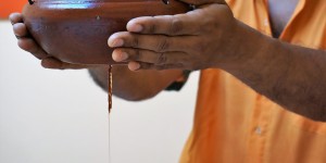 Beitragsbild des Blogbeitrags Ayurveda mit heimischen Heilpflanzen