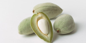 Beitragsbild des Blogbeitrags Weißes Mandel-Schokoladen-Pesto