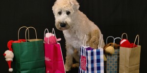 Beitragsbild des Blogbeitrags Black Friday 2018 Plus Size Shopping Tipps