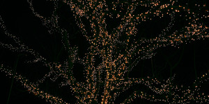 Beitragsbild des Blogbeitrags Meine Gedanken über Weihnachten in der Krise