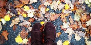 Beitragsbild des Blogbeitrags Blog-tember #22: Herbstlieblinge
