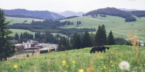 Beitragsbild des Blogbeitrags Almwellness Hotel Pierer: Mein Express Wellness-Guide