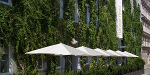 Beitragsbild des Blogbeitrags The Harmonie Vienna