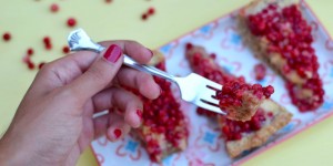 Beitragsbild des Blogbeitrags Preiselbeer Tarte mit Vanillepudding