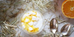 Beitragsbild des Blogbeitrags Gastbeitrag: Tropische Mangocreme 