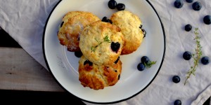 Beitragsbild des Blogbeitrags Blaubeer Scones mit Zitrone und Thymian 