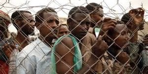 Beitragsbild des Blogbeitrags Breitbart: Schwedischer Ökonom warnt, geringqualifizierte Migranten sind eine