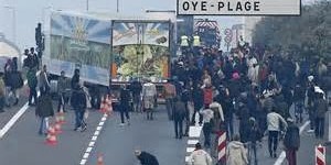 Beitragsbild des Blogbeitrags Daily Express: In der Calais Krise überfallen mit Eisenstangen bewaffnete Migranten einen Fahrer und in nur drei Stunden werden 200 Migranten von LKWs heruntergeholt 