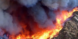 Beitragsbild des Blogbeitrags Novinite: Ein Waldbrand im Südosten Bulgariens wurde offenbar von Migranten verursacht 