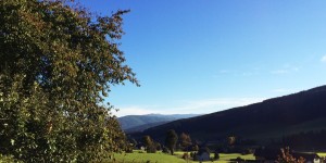 Beitragsbild des Blogbeitrags Backen mit Christina