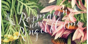Beitragsbild des Blogbeitrags Anmeldung zur Kräuterwanderung für Eltern und Kinder