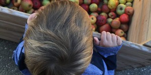 Beitragsbild des Blogbeitrags Apfelsaft pressen und Krapfen mampfen