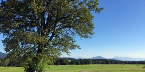 Beitragsbild des Blogbeitrags Fit With The Flo Woche 5