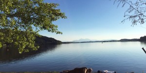 Beitragsbild des Blogbeitrags Fit With The Flo Woche 6