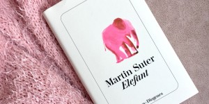 Beitragsbild des Blogbeitrags Rezension // Elefant von Martin Suter
