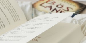 Beitragsbild des Blogbeitrags Rezension // So liest sich der neue Aichner Bösland