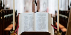 Beitragsbild des Blogbeitrags News // Book Broker startet einen Podcast und eine Lesechallenge