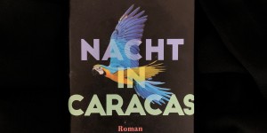 Beitragsbild des Blogbeitrags Rezension // Nacht in Caracas von Karina Sainz Borgo