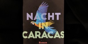 Beitragsbild des Blogbeitrags Rezension // Nacht in Caracas von Karina Sainz Borgo 