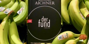 Beitragsbild des Blogbeitrags Rezension // Der Fund von Bernhard Aichner