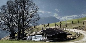 Beitragsbild des Blogbeitrags Bild des Monats April 2017 – Wildpark Aurach in Kitzbühel 