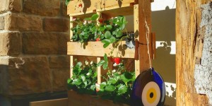 Beitragsbild des Blogbeitrags DIY Anleitung – Erdbeer Garten aus Palette – Upcycling